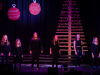 druc5beine-pojejo-in-plec5a1ejo-2018-18-12-2018-030
