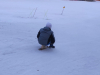 img_20220216_171105