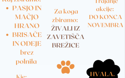 Maš kak briket viška?